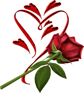 les fleures rouge